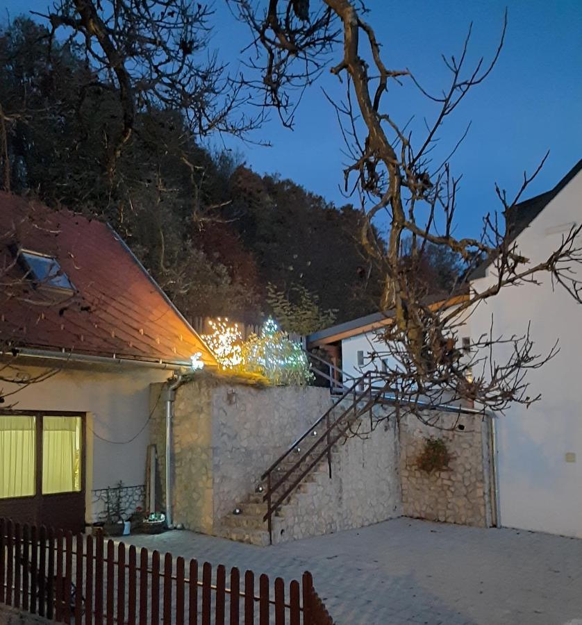 Ferienwohnung Bobita Haza Eplény Exterior foto